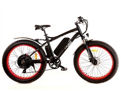 Elbike Phantom Vip 16