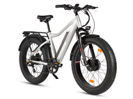 Электрофэтбайк Eltreco BigCat Dual Next PRO (серебристый матовый)