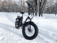 Электрофэтбайк Elbike Taiga 1 Vip 13 (Зеленый)