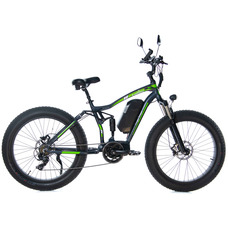 E-motions Cougar Torque