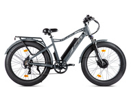 Электрофэтбайк VOLTECO BigCat Dual Next (хаки)