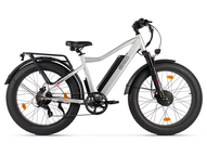 Электрофэтбайк Eltreco BigCat Dual Next PRO (серебристый матовый)