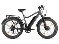 Электрофэтбайк Eltreco BigCat Dual Next PRO (черный матовый)