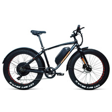 Forward Bizon E-500 Forward Bizon E-500