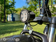 Трицикл электрический GreenCamel Трайк-F20 (R20FAT 500W 48V15Ah), Синий