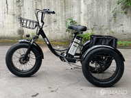 Трицикл электрический GreenCamel Трайк-F20 (R20FAT 500W 48V15Ah), Синий