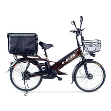 Green City e-ALFA GL с термобоксом
