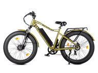 Электрофэтбайк VOLTECO BigCat Dual Next (хаки)