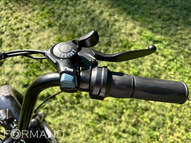 Трицикл электрический GreenCamel Трайк-F20 (R20FAT 500W 48V15Ah), Синий