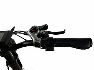 Электрофэтбайк Oxyvolt Low Fat Ranger