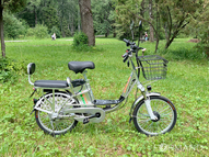 Электровелосипед GreenCamel Транк 20 V8 (R20 250W 60V 20Ah)