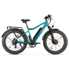 Eltreco BigCat Dual Next (зеленый матовый)