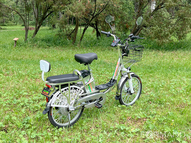 Электровелосипед GreenCamel Транк 20 V8 (R20 250W 60V 20Ah)