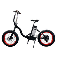 El-sport bike TDN-01 500W
