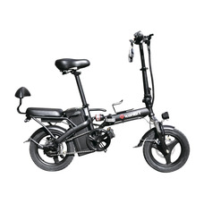 iconBIT E-BIKE K202 iconBIT E-BIKE K202