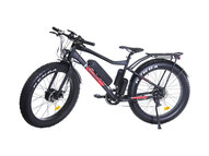 Электрофэтбайк E-motions FAT 26 Double 2