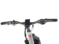 Электрофэтбайк Eltreco BigCat Dual Next PRO (серебристый матовый)