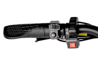 Электрофэтбайк Eltreco BigCat Dual Next PRO (серебристый матовый)