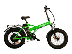 Elbike Taiga 2 St (Зеленый) Elbike Taiga 2 St (Зеленый)