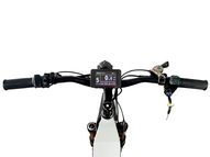 Электровелосипед Horza Teleport SD-1500 Moped