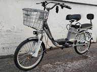 Электровелосипед Delivery Line V12 (12Ah 48V 350W, 20 дюймов)